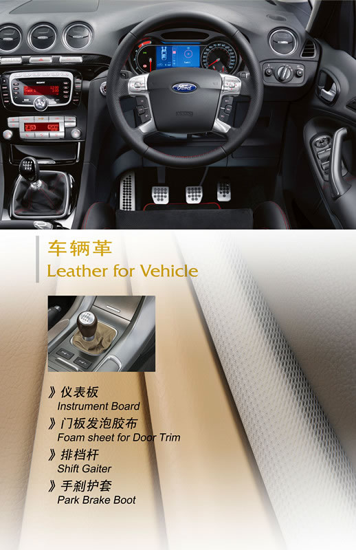 車輛革(圖15) 車輛革(圖15)